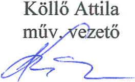 Áttekintés " Biatorbágyi Népdalkör " 2011 évi tevékenységéről A Biatorbágyi Népdalkör megalakulása óta, a magyar népzene ápolását, tanulását és ismertetését tartja az egyik legfontosabb feledatának.