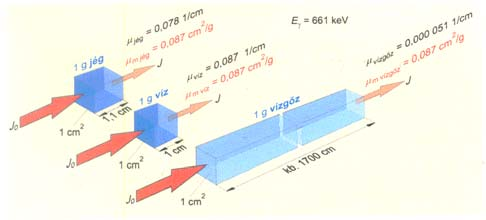 a) Direkt ionizáló sugárzások (α, β) A kölcsönhatás típusai: - ionizáció - gerjesztés - elektromágneses sugárzás keltése (fékezési röntgen v.