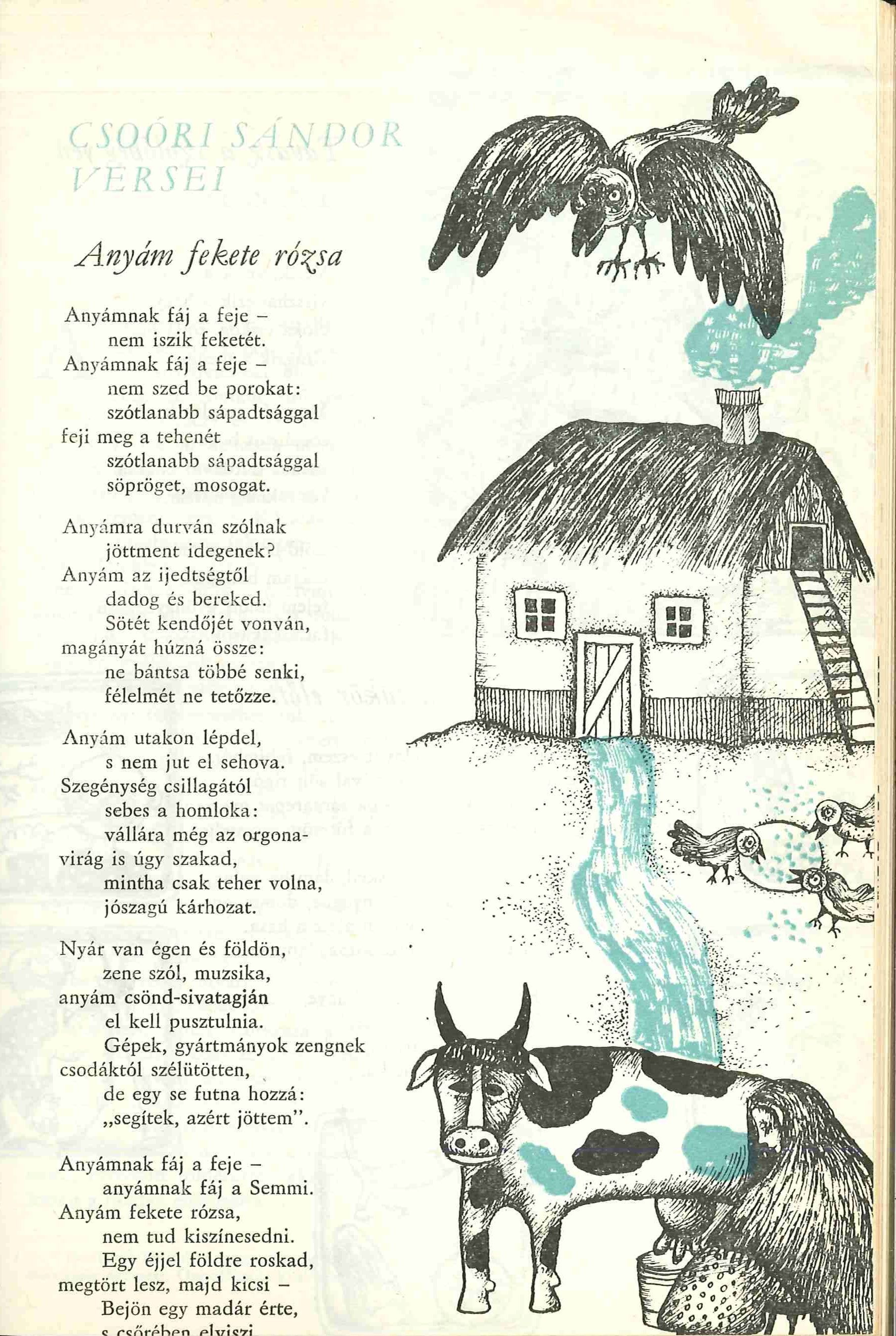 Apró tizenéves fekete kakas