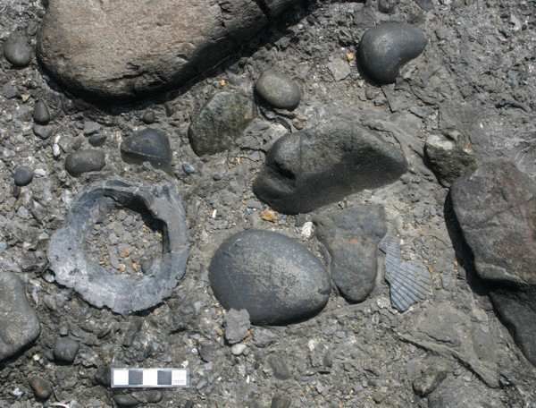 A késı paleozoós eljegesedés bizonyítékai Permi gleccsermarta