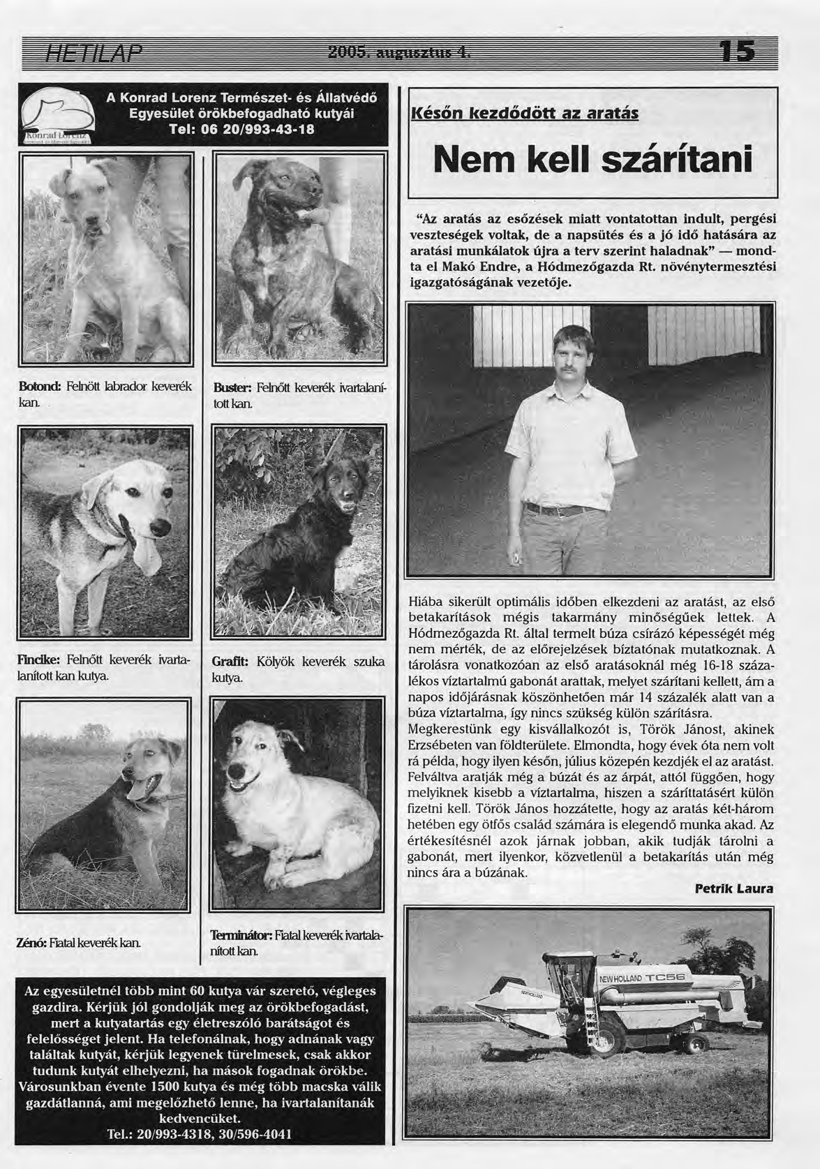 A Konrad Lorenz Természet- és Állatvédő Egyesület örökbefogadható kutyái Tel: 06 20/993-43-18 Későn kezdődött az aratás Nem kell szárítani "Az aratás az esőzések miatt vontatottan indult, pergési