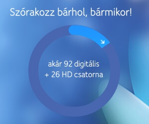 Erős, az Orbán-Putyin paktumhoz hasonló "identitásválságot" okozott nemcsak a tágabb értelemben vett jobboldalon, de a Fidesz-KDNP frakciószövetségen belül is a '44-es német megszállási emlékmű -