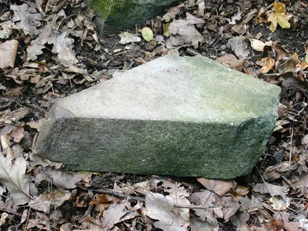 262