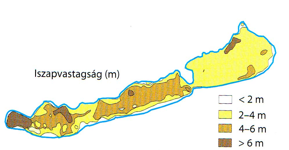 A tó medrének átlagos évezredes feliszapolódási üteme 0, 0,8 mm/év. A Balatonban jelenleg is képződik üledék.