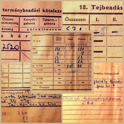 A húst is lebontották cikkekre, így a gazdának be kellett szolgáltatnia: 111 kg hízott sertést, 9 kg hízott baromfit (bár itt elmaradása volt az előző évről és plusz 3 kg is kivetésre került), 13,5