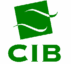 Alaptájékoztató a CIB Bank Zrt.