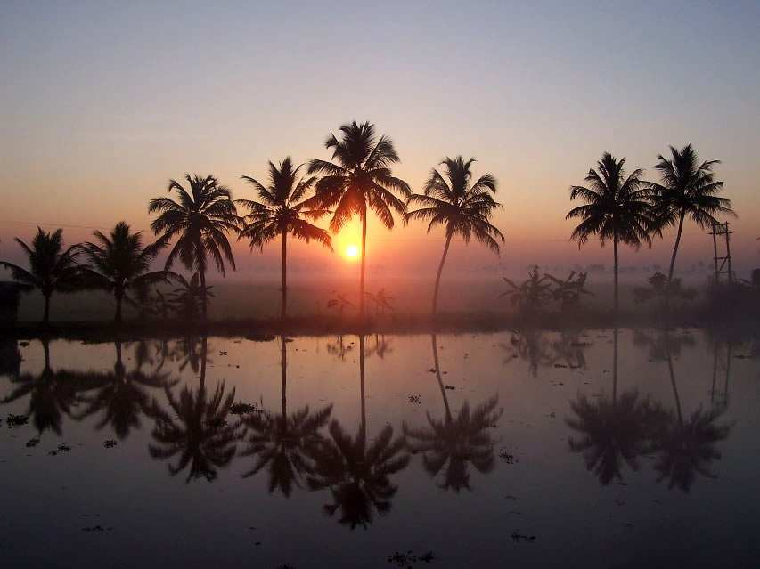 5. nap Thekkady / Kumarakom (125km) Kora reggel hajókirándulásra indulunk a Periyar tavon. A környék híres a vadon élı elefántjairól és madár telepeirıl.