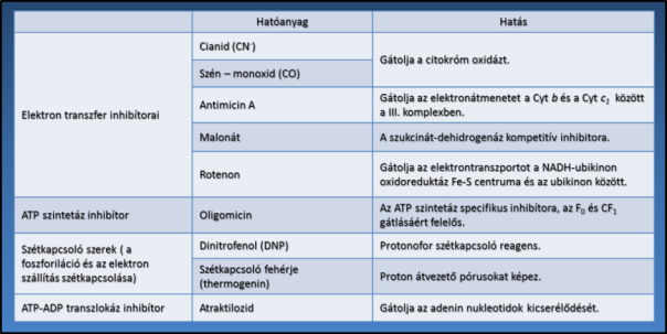 8. Ábra: A mitokondriális elektrontranszport lánc és az ATP szintézis gátlószerei A terminális oxidáció és az oxidatív foszforiláció néhány ismert inhibítora és működésének mechanizmusa (9.