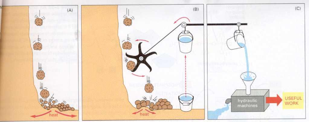 terminális oxidáció (elektrontranszferek sorozata) exergonikus folyamat oxidatív foszforiláció (ADP