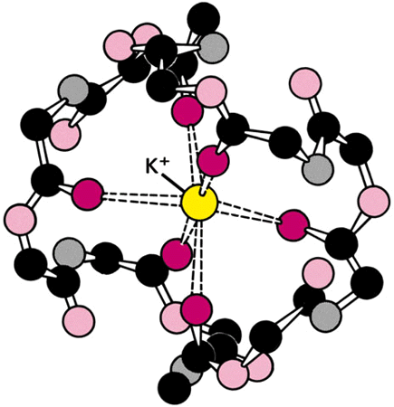 Karrier-mediálta (- passzív -) transzport uniport