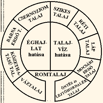A talajok genetikai osztályozási rendszere Két szelő főtípusok három mezőben. Vízszintes szelő alatt: azok a talajok (romtalajok), amelyek kialakulását valamely tényező gátolja.