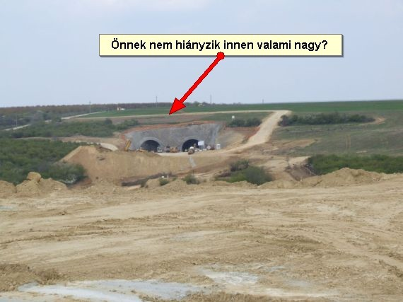 Ki-ki abban a kérdésben döntsön, amihez ért.