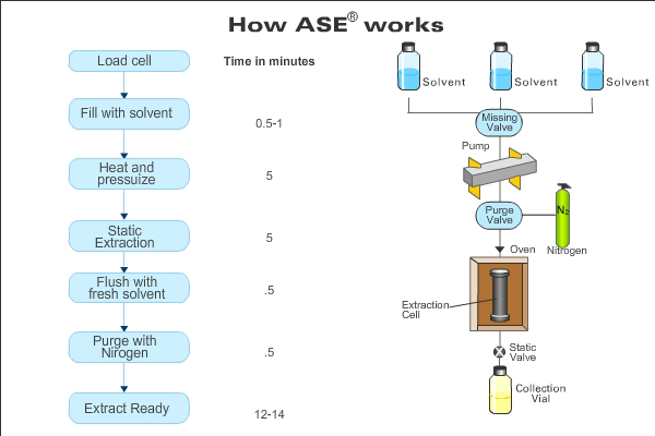 ASE