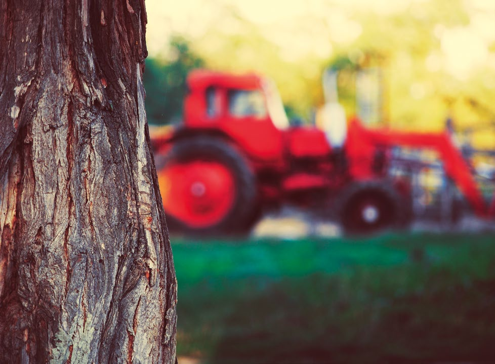 TÖMÍTÉSI MEGOLDÁSOK AGRÁRIPAR AGRÁRIPARI