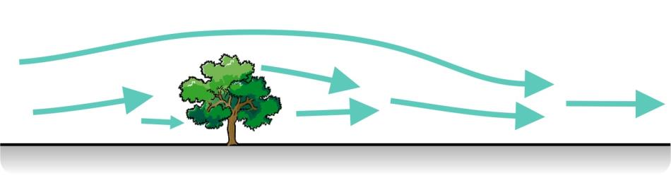 NÖVÉNYZET HATÁSA UTCAKANYONOK ÁTSZELLŐZÉSÉRE 8 Növényzet modellezése MISKAM-ban (Green, 1992) Ellenálláserő a