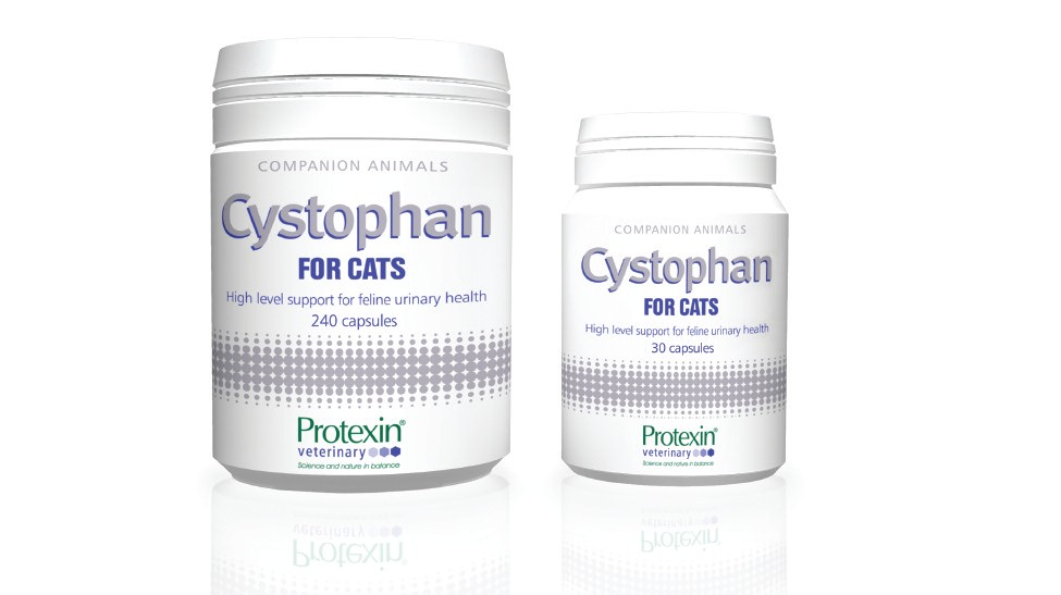 A Cystophan bemutatása A FIC kezelésének magasabb szintre emelése Összetétel N-acetil D-glükozamin Egy GAG előanyag, amely más GAG-ek