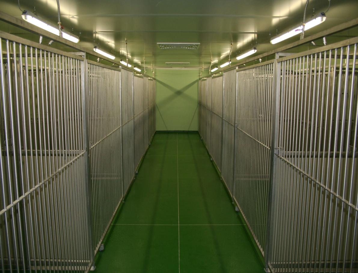 LAB