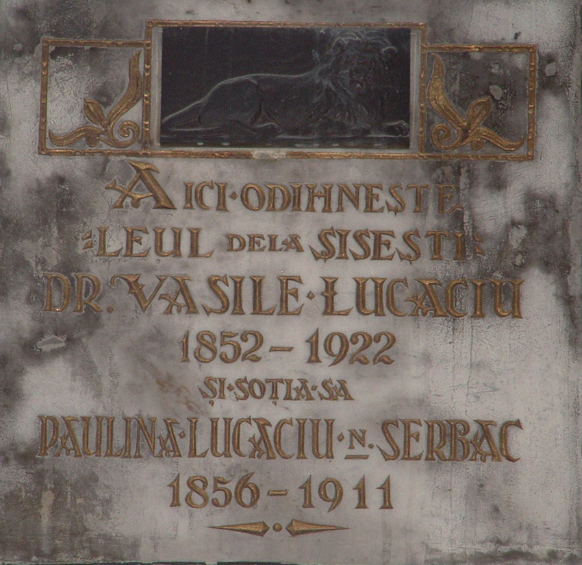 14 Izvorul eforturilor depuse de Leul din Şişeşti pentru realizarea Marii Uniri. După Marea Unire, în anii 1919 şi 1920, Vasile Lucaciu a fost ales deputat de Baia Mare în Parlamentul din Bucureşti.