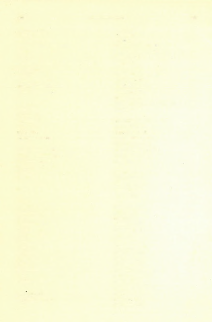 210 KALBCSINSZKY SÁNDOR. (3 0 ) Eibenthal P. 83. Élesd P. 23, 50. Erdőbénye P. 32. Erdőhorváthi P. 33, 106. Esküllő P. 23, 50. Fazekas-Zsaluzsány 42 45, 52. 53. 106, P. 5 7. Feistritz P. 41.