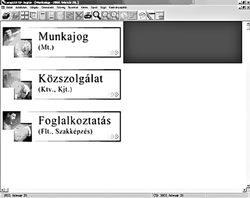 A Jogtár Plusz adatbázisok 125 Adatbázisok felépítése Külön adatbázisban találhatók a hagyományos munkajogi témák, külön a közszolgálat területe és szintén egy önálló csoportot képeznek az olyan