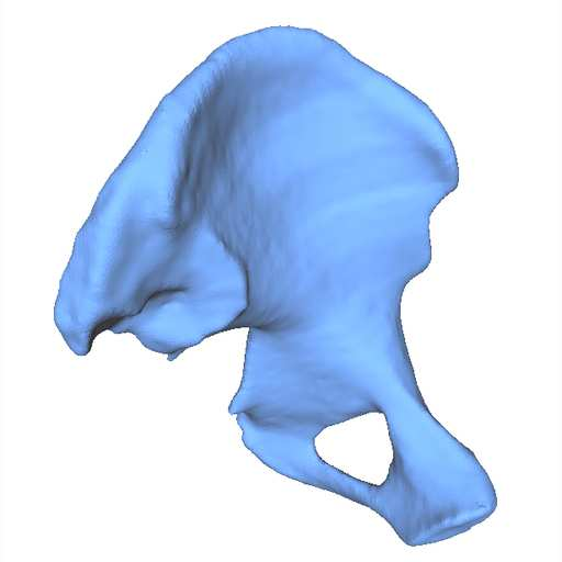részek általában külön-külön, egy-egy merev test transzformációval torzulnak. A 3D merev test transzformáció pedig számos orvosi alkalmazás során játszik fontos szerepet.