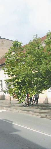 www.lsv.org.rs SZABAD VAJDASÁG 13 Azt sem mondom, hogy a térre, sétányokra, szökőkutakra kapott pénzt másra kellene költeni, mert azt nem lehet, nem szabad.