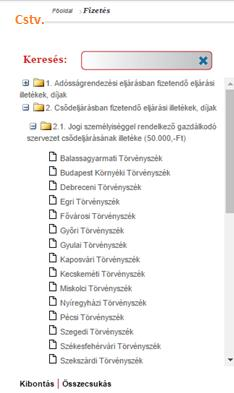 Ezt kiválasztva adjuk meg a befizető nevét, majd email címét.