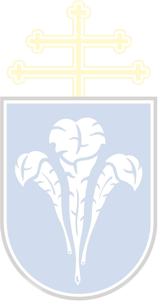 INTÉZMÉNYI STIPENDIUM HUNGARICUM