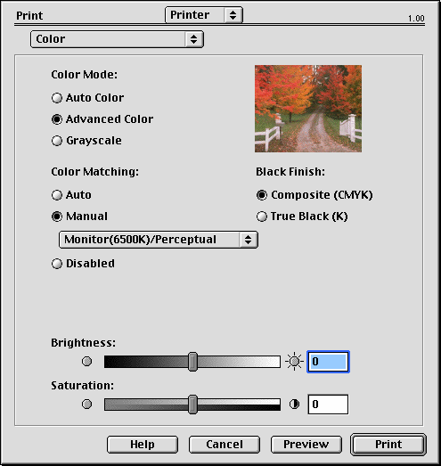 Nyomtatási beállítások Color (Szín) Color Mode (Színes mód) SZÍNÜZEMMÓD Auto Color (Automatikus színbeállítás) Advanced Color (Speciális színbeállítások) Grayscale (Szürkeárnyalatok) LEÍRÁS Az