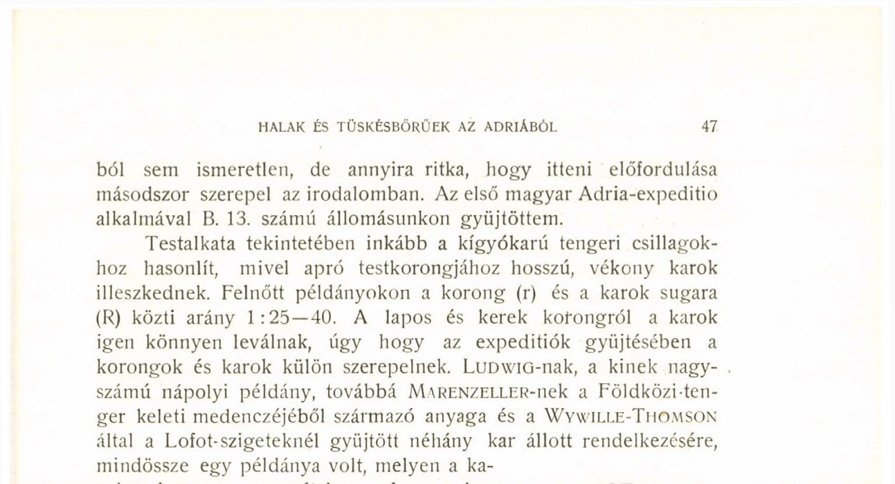 anális ébencsövek