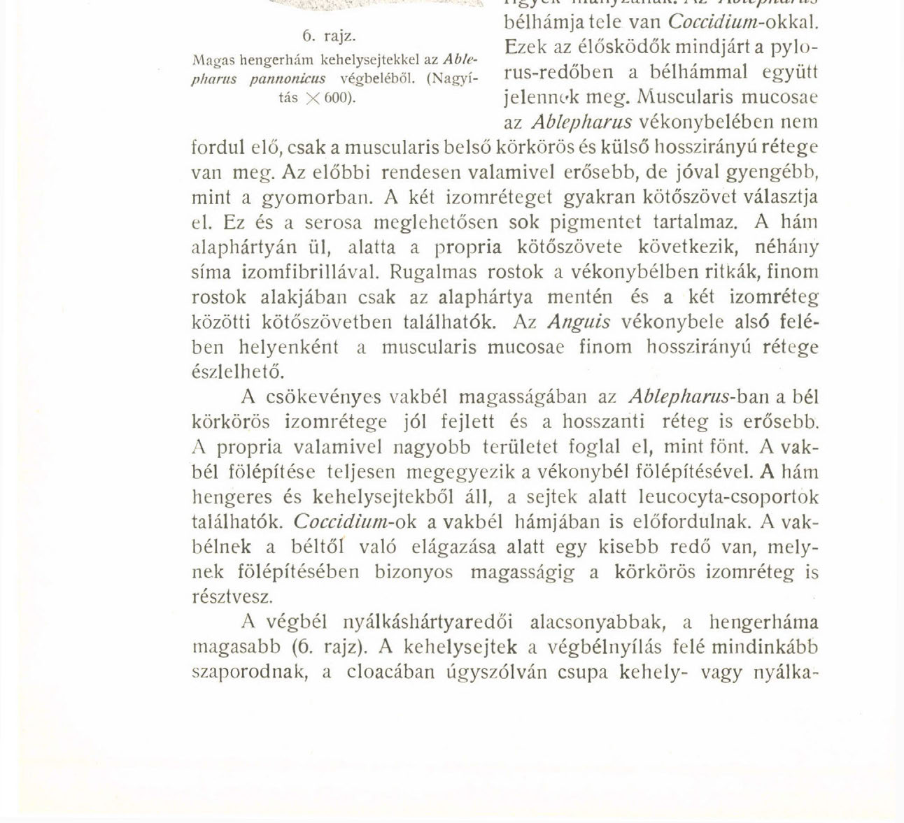 anális ébencsövekkemény punci nyalás pornó