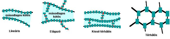Polimer lánc alakja szerint Lineáris, fonal Elágazó fonal Térhálós Kissé térhálós: