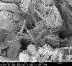 2.3. Tűs-rostos kalcitok (needle fiber calcites) Képződésükhöz szerves anyag és azt lebontó gombák jelenléte szükséges, a kalcit kiválása ugyanis a gombafonalak mentén zajlik.