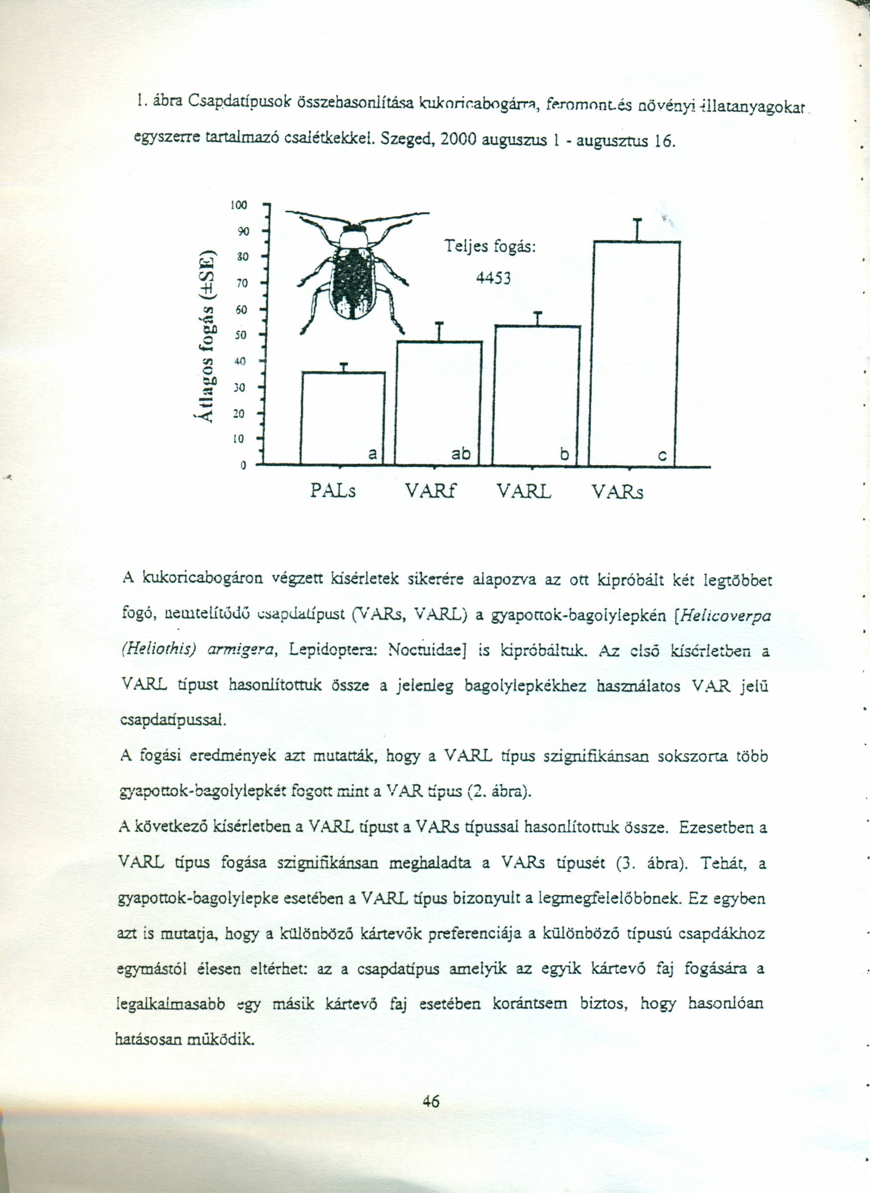 1. ábra Csapdatípusok összehasonlítása lruknrir.abogárr", feromont.és növényi llatanyagokat egyszerre tartalmazó csalétkekkel. Szeged, 2000 auguszus 1 - augusztus 16.