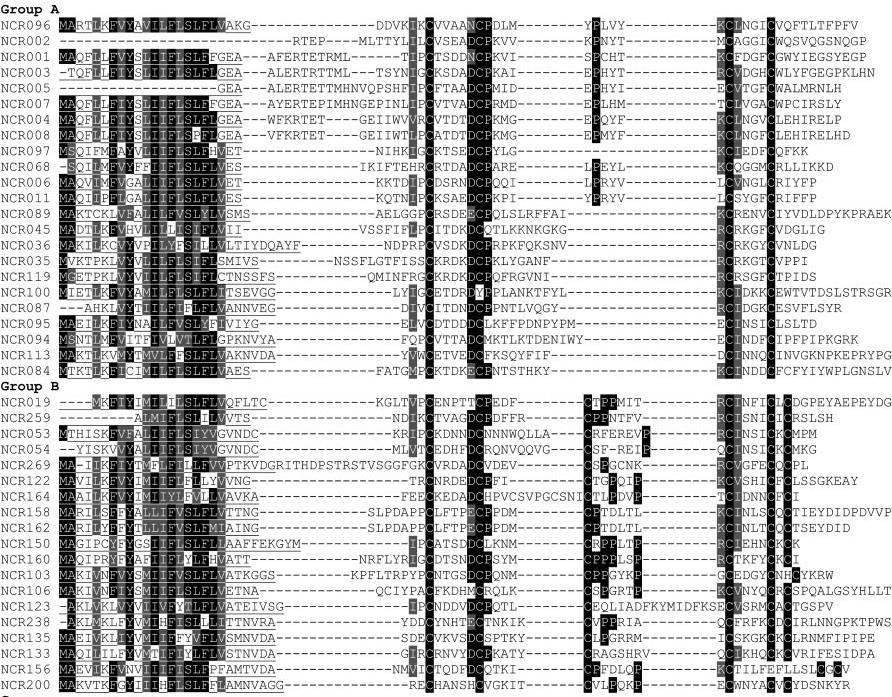 Irodalmi áttekintés 4. ábra: Medicago NCR multigén család: a 42 legabundánsabb NCR két csoportba rendezve. Az A csoport négy, a B csoport hat ciszteint tartalmaz (feketével kiemelve).