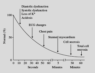 Az ischaemiás kaszkád Diasztolés diszfunkció Szisztolés diszfunkció K + -vesztés; acidózis EKG-eltérések Mellkasi