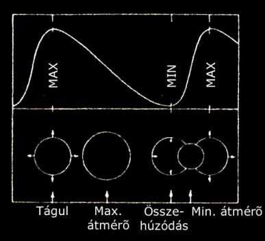 2. ábra. Egy tipikus δ Cephei fénygörbéje a csillag méretének függvényében.[22] fénygörbe alakja periódikusan változik.