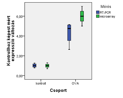 4.4 A survivin szerepe az asztmában 4.4.1 A BIRC5 expressziójának meghatározása ovalbuminnal allergizált egérben és humán indukált köpet mintákban Ahogy már a bevezetőben említettem, a