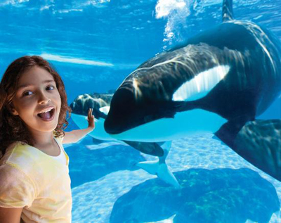 6. Cedar Point Amusement Park, Sandusky, Ohio Ebben a parkban minden a