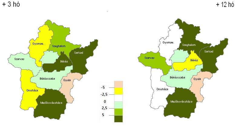 Negyedéves munkaerő-gazdálkodási felmérés 2013. I. negyedév Békés megye Várható létszámváltozás a 2012. decemberi adatokhoz képest [ % ban ] Az egy év múlva várható trendek A 2013.