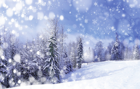 : 8.30-12.00; 13.00-17.00, szo.: 8.30-12.30/ Ebédidő: 12.00-13.00 ADVENTI AKCIÓ! 20.