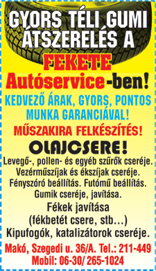 ablakok (7 kamrás, hő- szigetelt üveg, horganyzott acél merevítés, minőségi vasalatok) lombvédő rács esőcsatornára téglák tömör tégla, B-30-as