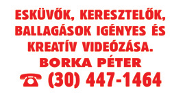 Hagyaték felvásárlás, lomtalanítás. Telefon: (20) 228-4560. Favágás fáért is. Telefon: (20) 807-1839.