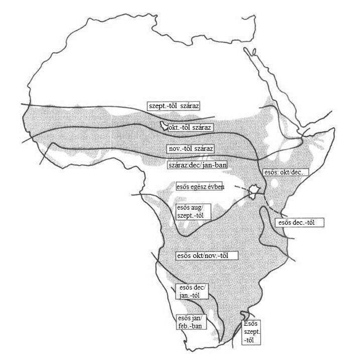 14. ábra Afrika csapadékövezetei (a szürke részekben a leggyakoribbak a telelő madarak) (Jones 1995) Dél-Afrikában atlasz adatok alapján modellezték bizonyos fajok vonulási dinamikáját.