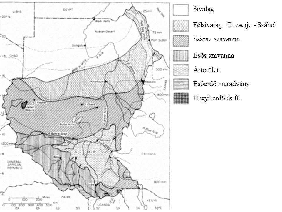 24. ábra A Fehér-, Kék-Nílus és Atbara vidéke (Hogg et al.