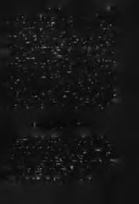 K Ö ZLEM ÉN Y EK 479 w ith th is view population policy is conceived now adays in a b ro ader sense; it includes n o t only th e conscious an d direct influencing of th e population processes b u t