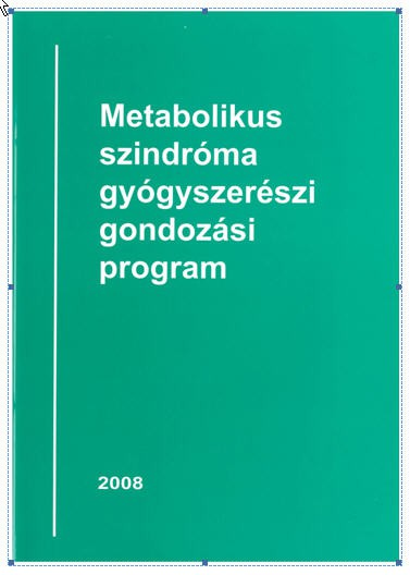 4.2. Kidolgozott