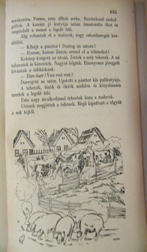 5. Új betűvetés.