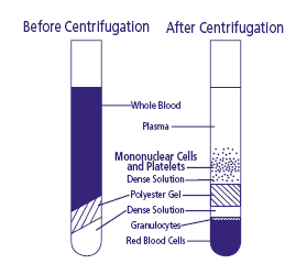 BD CPT TM Cell Preparation