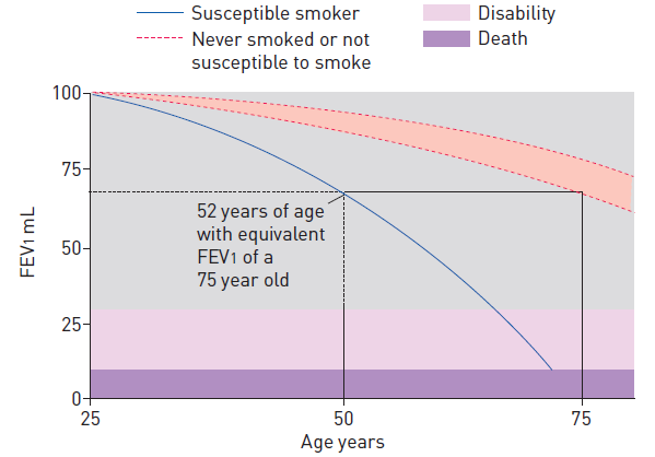 FEV1 a 25 éves korban mért %-ában Spirometria korai COPD szűrésre?
